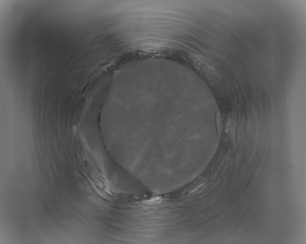 X0000069790868200606021410