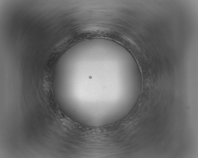 X0000069790869200606021410