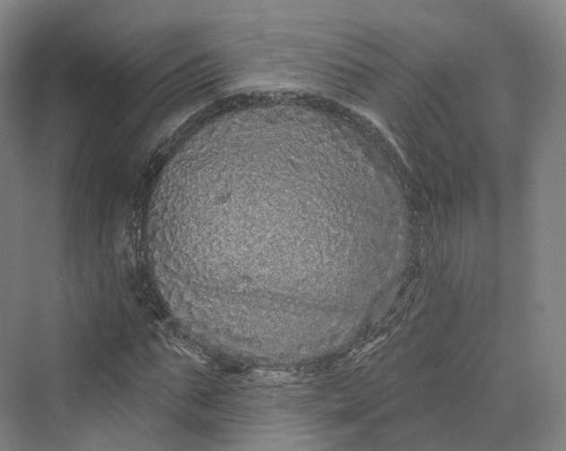 X0000069790871200606021410