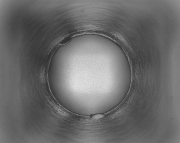 X0000069790873200606021410