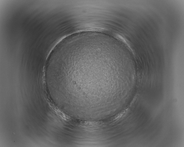 X0000069790875200606021410