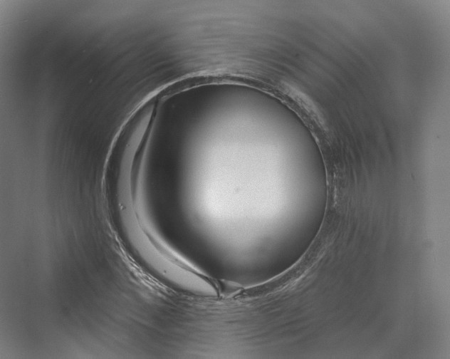 X0000069790876200606021410