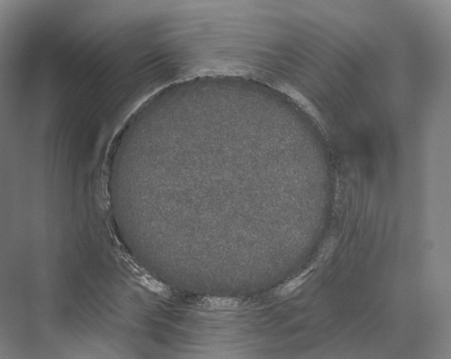 X0000069790878200606021410