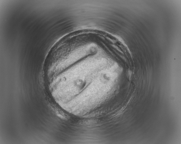 X0000069790879200606021410