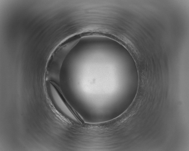 X0000069790880200606021410