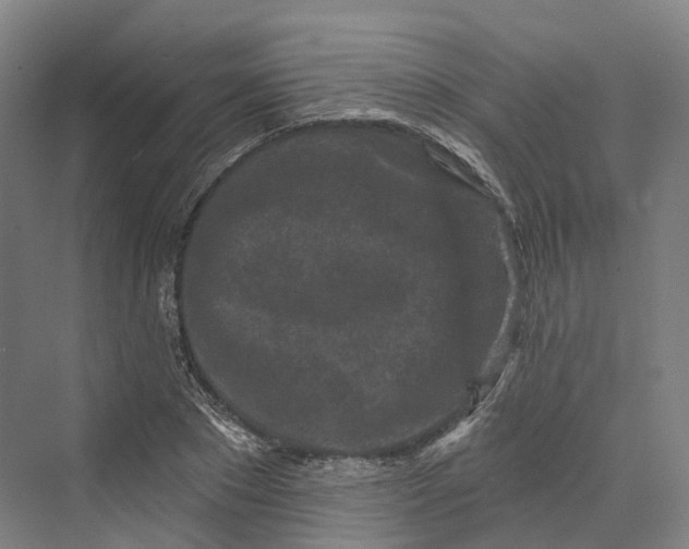 X0000069790881200606021410