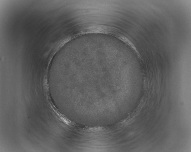 X0000069790882200606021410