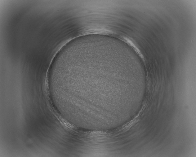 X0000069790883200606021410