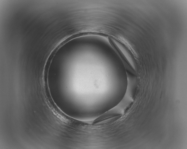 X0000069790884200606021410