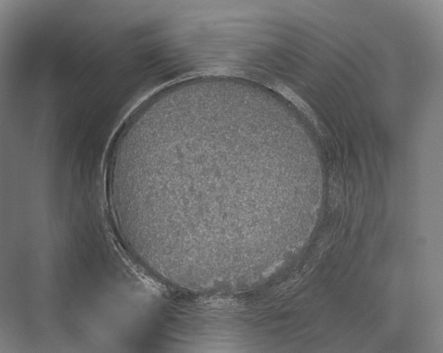 X0000069790886200606021410