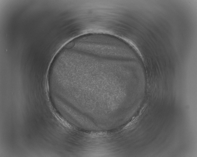 X0000069790887200606021410