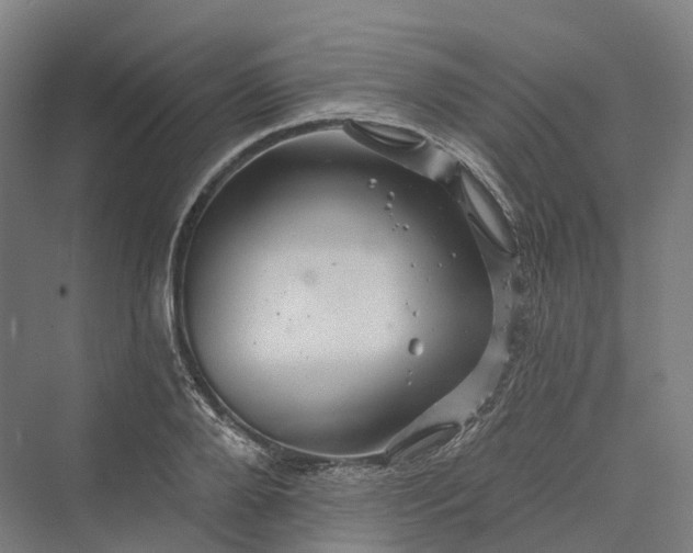 X0000069790888200606021410