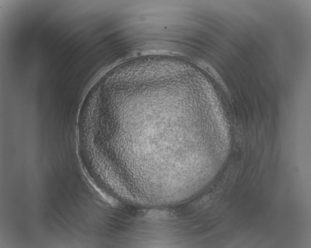 X0000069790890200606021410