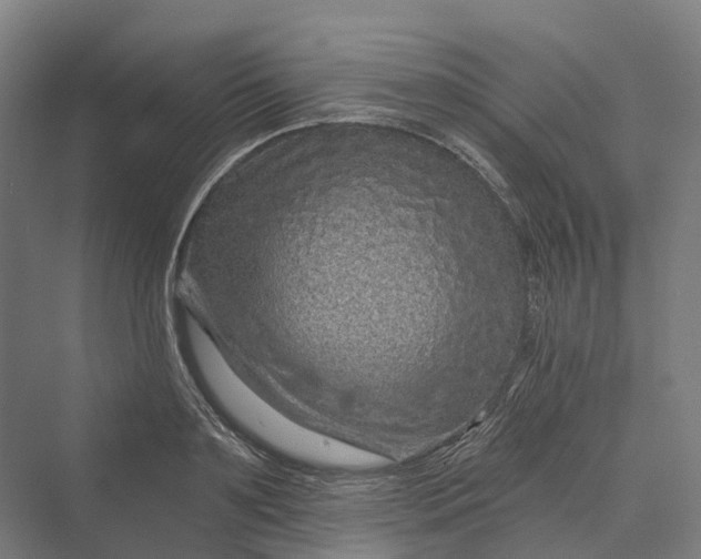 X0000069790891200606021410