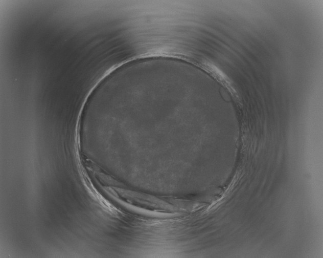 X0000069790892200606021410