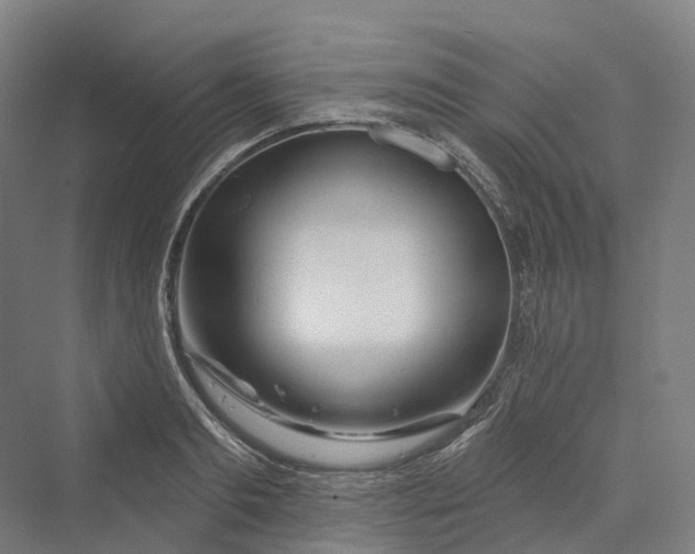 X0000069790893200606021410