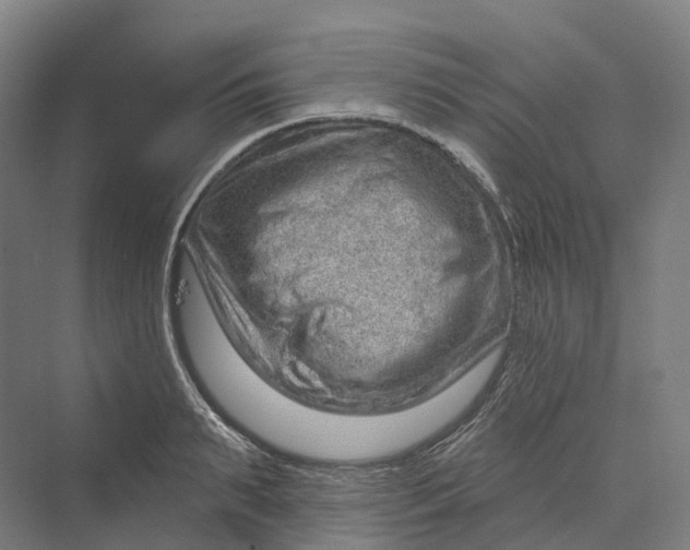 X0000069790895200606021410