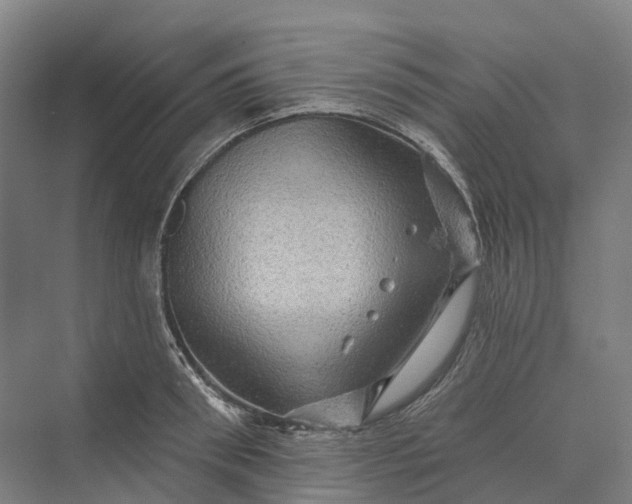 X0000069790898200606021410