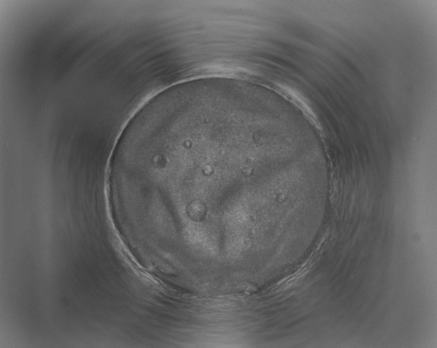 X0000069790899200606021410