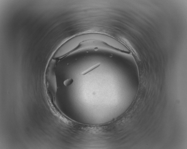 X0000069790900200606021410