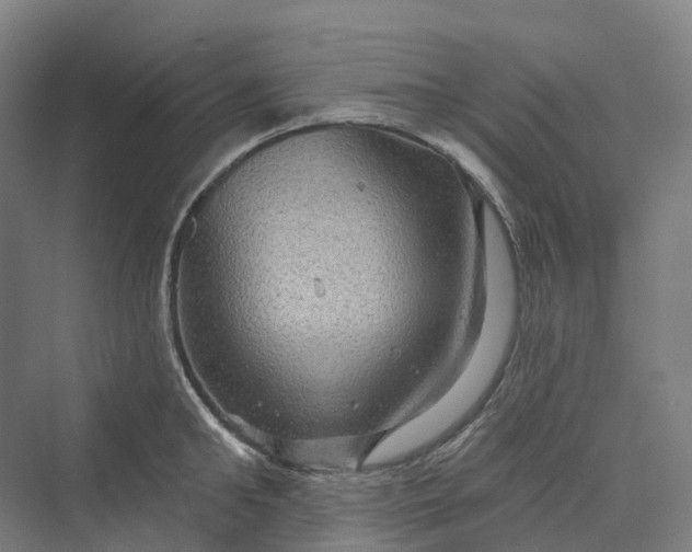 X0000069790902200606021410