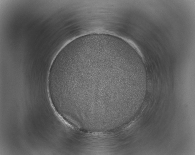 X0000069790903200606021410