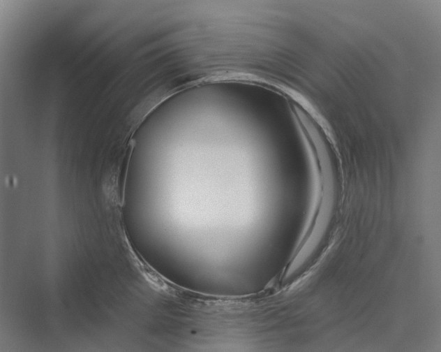 X0000069790905200606021410