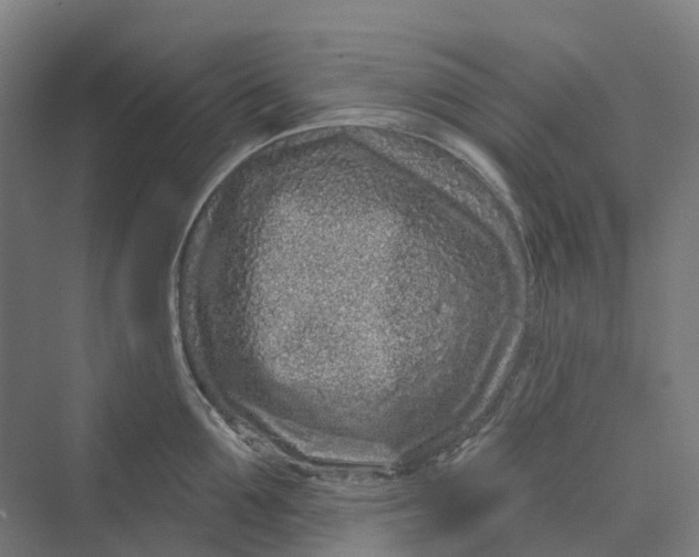 X0000069790907200606021410