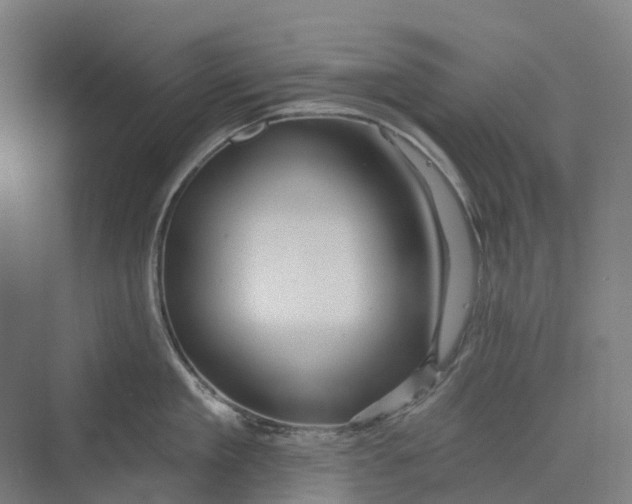 X0000069790909200606021410