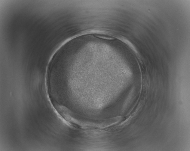 X0000069790910200606021410