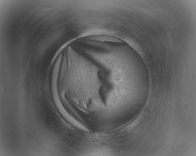 X0000069790912200606021410