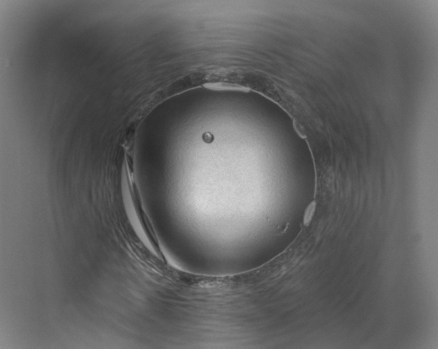 X0000069790914200606021409