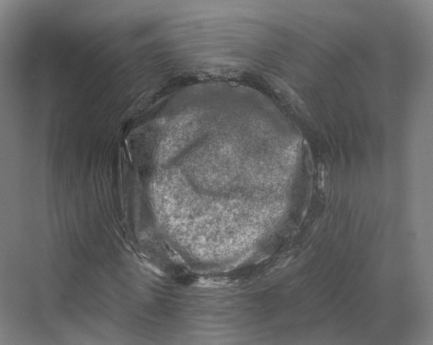 X0000069790915200606021409