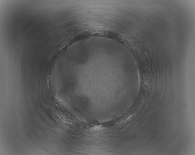 X0000069790916200606021409