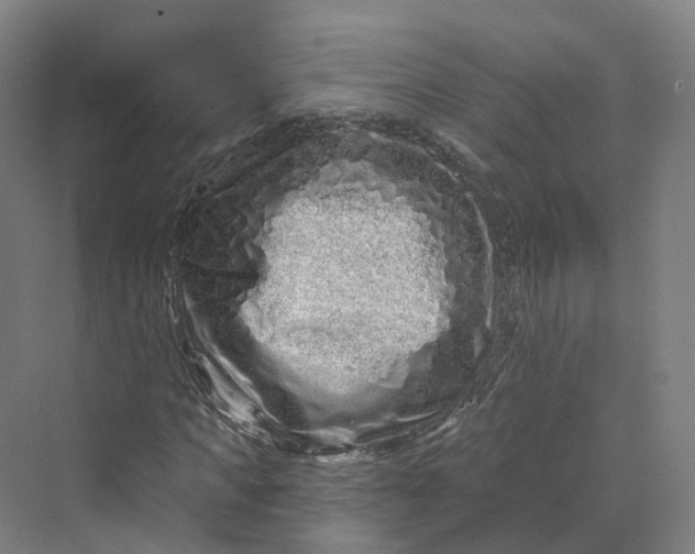 X0000069790917200606021409