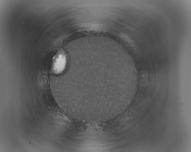 X0000069790918200606021409