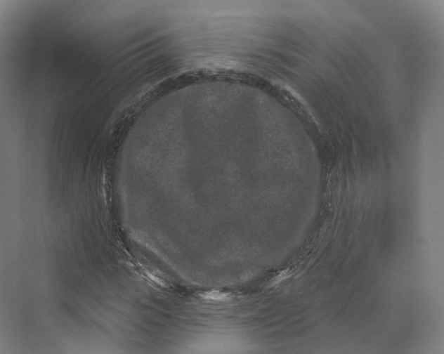 X0000069790919200606021409