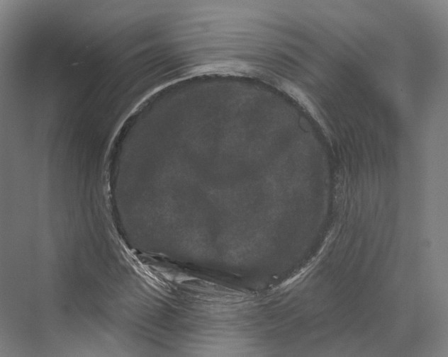 X0000069790923200606021409