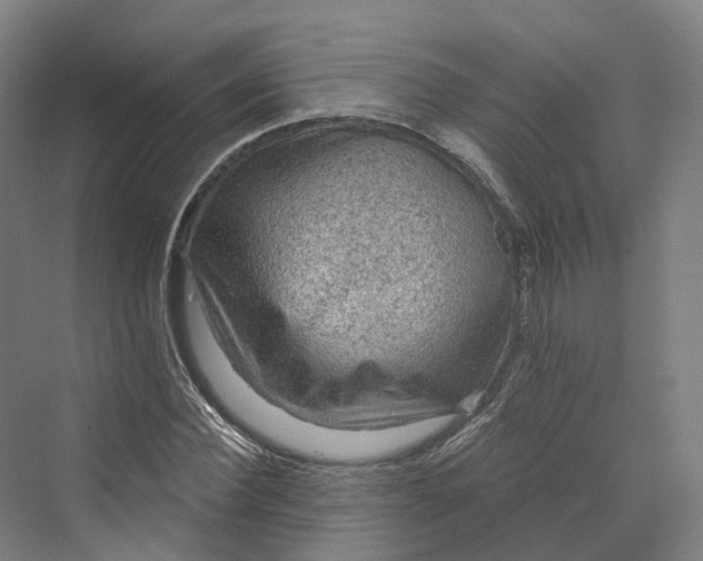 X0000069790924200606021409