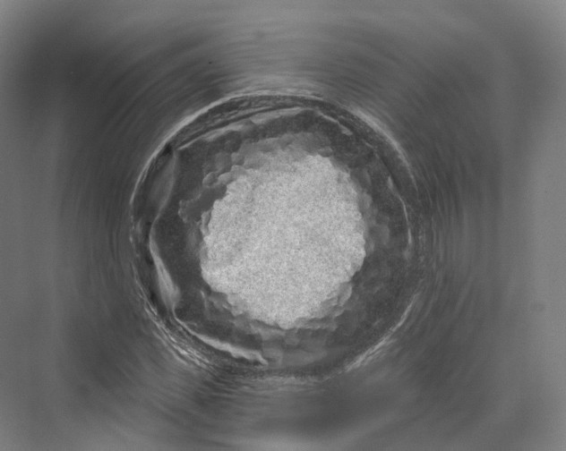 X0000069790925200606021409