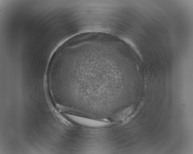 X0000069790928200606021409