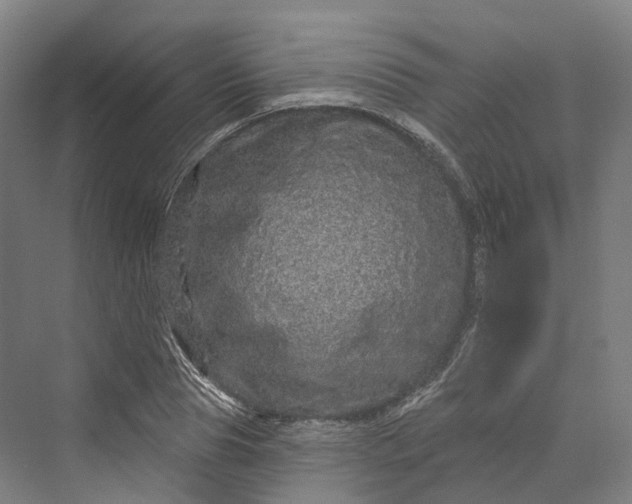 X0000069790929200606021409