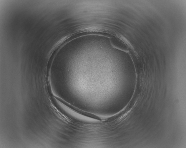 X0000069790930200606021409