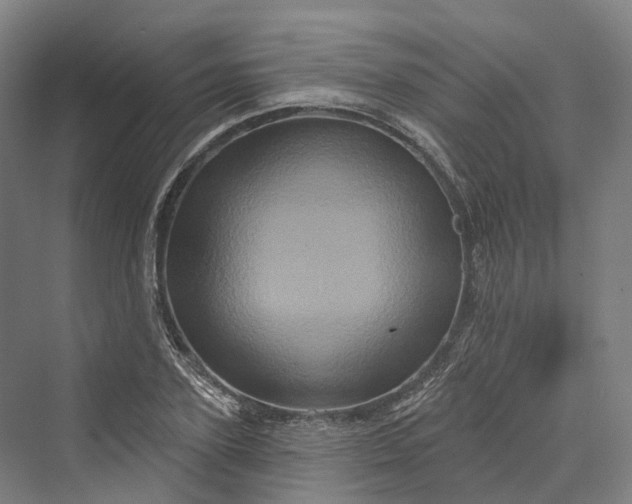 X0000069790931200606021409