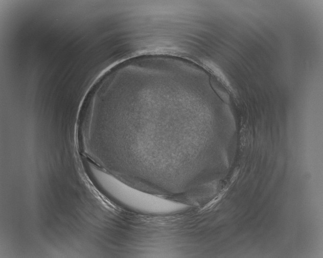 X0000069790932200606021409