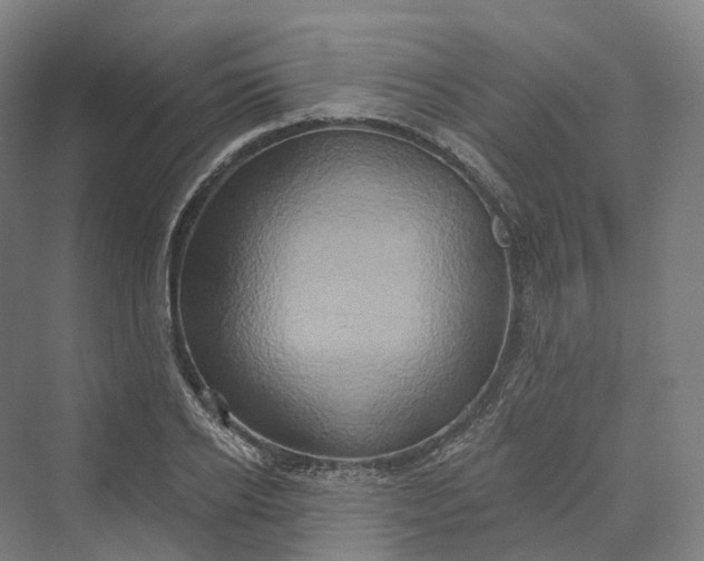 X0000069790934200606021409