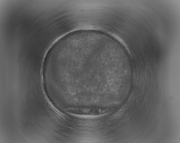 X0000069790935200606021409