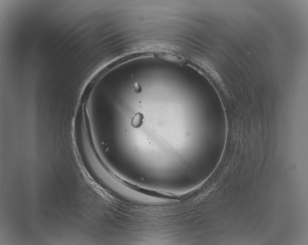 X0000069790936200606021409