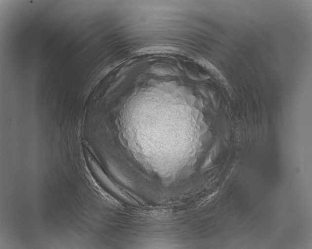 X0000069790937200606021409