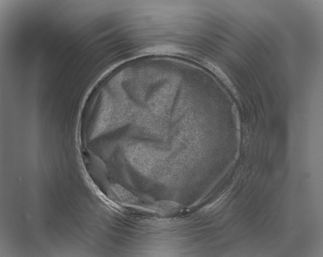 X0000069790939200606021409